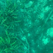 Photo submitted by Joanne