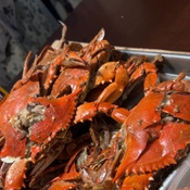 Photo submitted by Guest