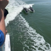 Photo submitted by Carrie