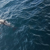 Photo submitted by arul