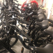 Photo submitted by Sal