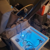 Photo submitted by Firzana