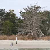 Photo submitted by Shannon