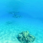 Photo submitted by Nadine