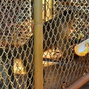 Photo submitted by Debbie