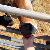 Photo submitted by Stephanie