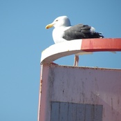 Photo submitted by Alexandria