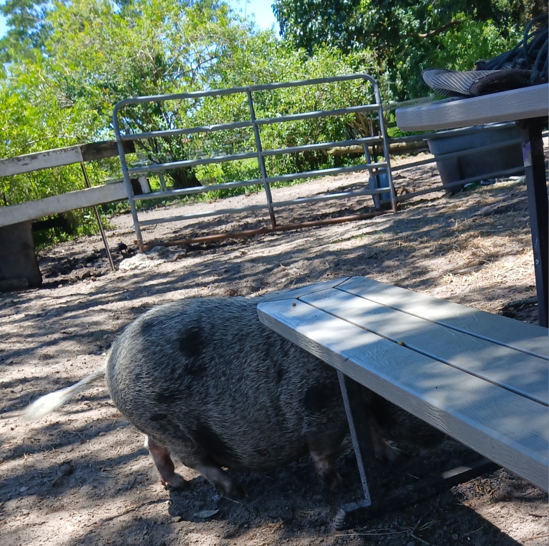 WB Family Ranch - Davie, FL - From $8 - Davie | Groupon