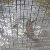 Photo submitted by Florence