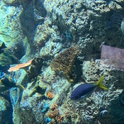 Photo submitted by Paul