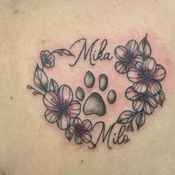 Photo submitted by Amber