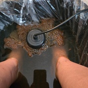 Photo submitted by kristen