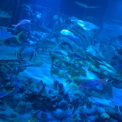 Photo submitted by Chris