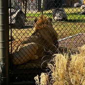 Photo submitted by Megan