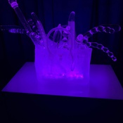 Photo submitted by Nastasha