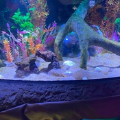 Photo submitted by yolanda