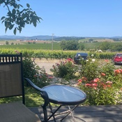 Photo submitted by Rachael