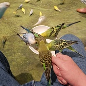 Photo submitted by Albert