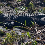 Photo submitted by Dolores