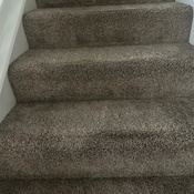 Photo submitted by Dianna