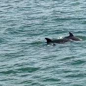 Photo submitted by Jerome