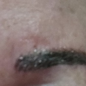 Photo submitted by Kim