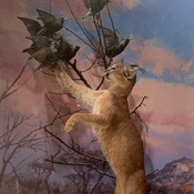 Photo submitted by Adriana