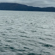 Photo submitted by Andres