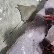 Photo submitted by Brittney