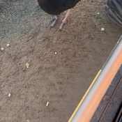 Photo submitted by Guest