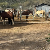 Photo submitted by Hillary