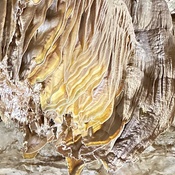 Photo submitted by Cheryl