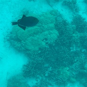 Photo submitted by Guest