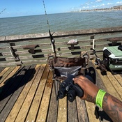 Photo submitted by Taylor