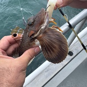 Photo submitted by Chris