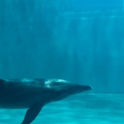 Photo submitted by justina