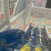 Photo submitted by Melanie