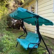 Photo submitted by shannon