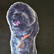 Photo submitted by Rita