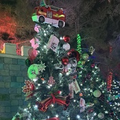 Photo submitted by Noelani