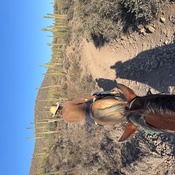 Photo submitted by Jamie