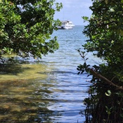 Photo submitted by jessica