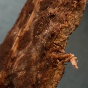 Photo submitted by Renee