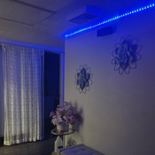 Photo submitted by Natalie