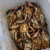 Photo submitted by Shauna