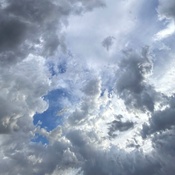 Photo submitted by Austin