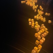 Photo submitted by Sara