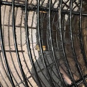 Photo submitted by Julianne