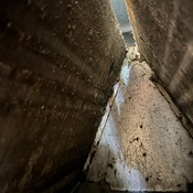 Photo submitted by flowers