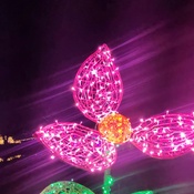 Photo submitted by Cierra